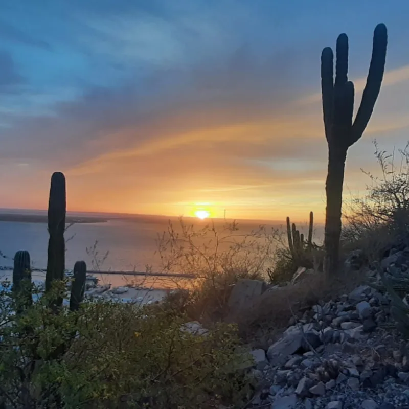 Episode 14 — Capítulo 14 - La Paz (Baja California Sur)
