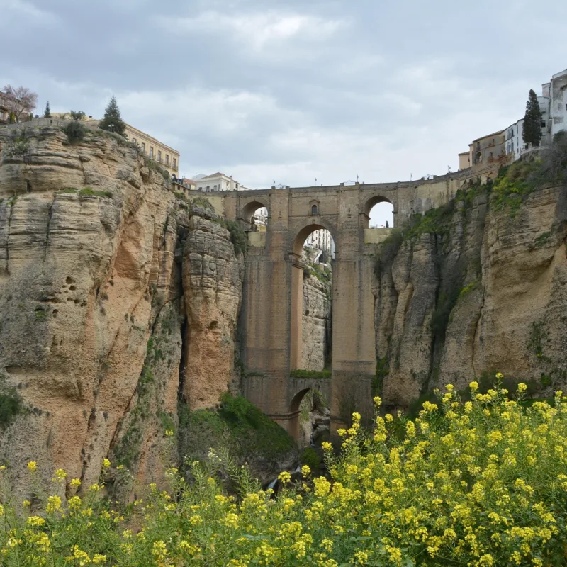 Episode 76 — Capítulo 76 - MÁLAGA - ¡ACENTO y PALABRAS ÚNICAS! 🗣️ SECRETOS de MÁLAGA con una persona LOCAL 🥘🌄