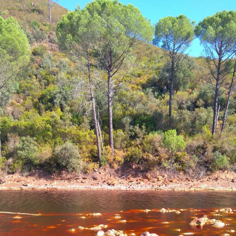 Episode 68 — Capítulo 68 - HUELVA - Ríos de sangre, Jamón, Parques Nacionales y Playas infinitas 🐖🌄 - Descubriendo España 4